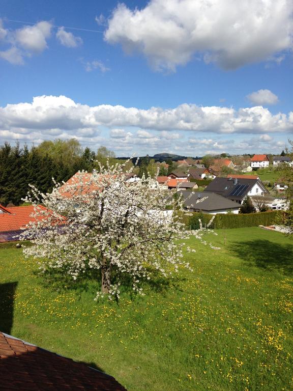 Ferienhaus Annabell Weisbach  Luaran gambar
